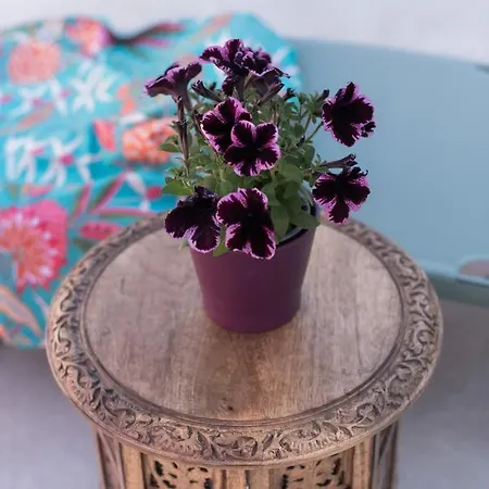 El Jardin De Gala * Castejon de Monegros