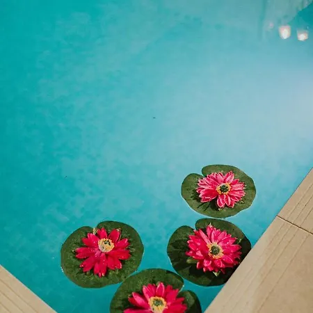 El Jardin De Gala Tatil Evi *