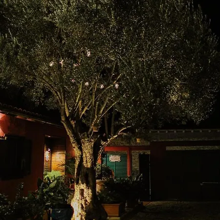 El Jardin De Gala