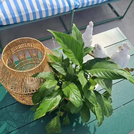 El Jardin De Gala Tatil Evi Castejon de Monegros