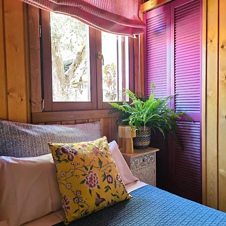 El Jardin De Gala Сasa de vacaciones Castejon de Monegros