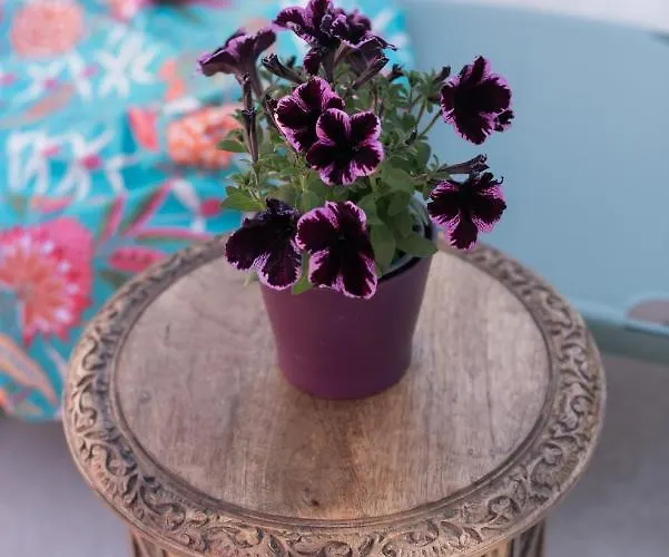 El Jardin De Gala * Castejon de Monegros